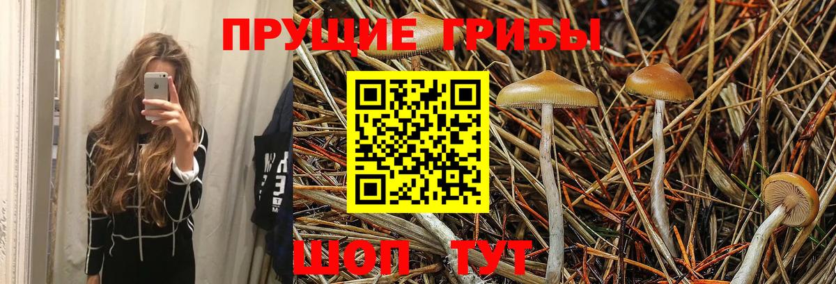 Астрахань  Псилоцибиновые грибы мицелий  Галлюциногенные грибы MAGIC MUSHROOMS  Вход с VPN 